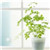 trx闪租